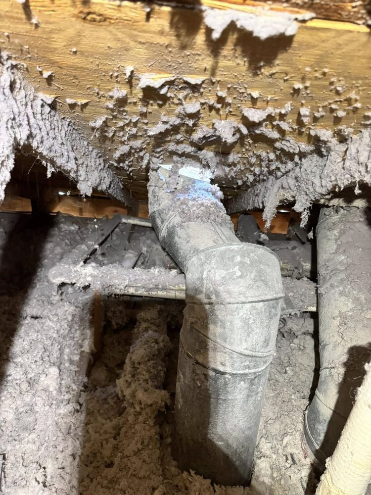 Ductwork opened up above the ceiling — years of lint buildup, and a real fire risk. Cleaning the filter isn't enough.